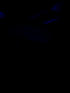 Fury22  online show from 05.04.26