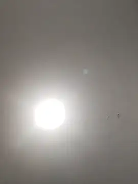  sofia420 online show from 05.19.26