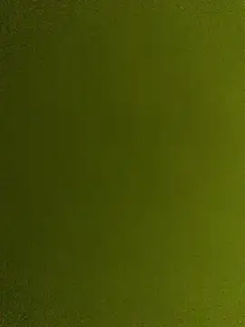 dzshbh2005 online show from 05.08.26