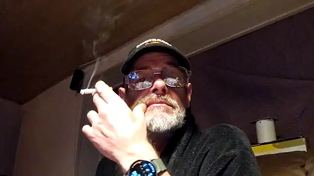 Stillefugl online show from 05.11.26