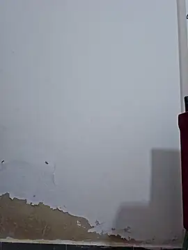 Zebnarrrrr online show from 06.09.26