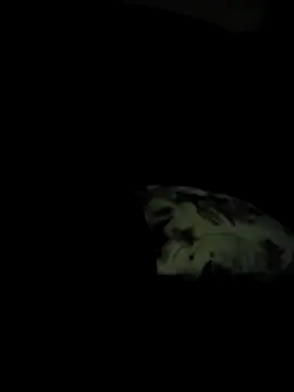 Tashaspicy online show from 05.29.26