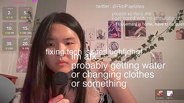 Rinpixel online show from 06.21.26