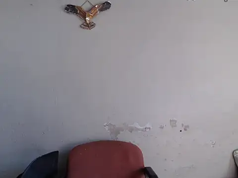 Frank X Husle online show from 06.08.26
