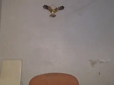 Frank X Husle online show from 07.09.26