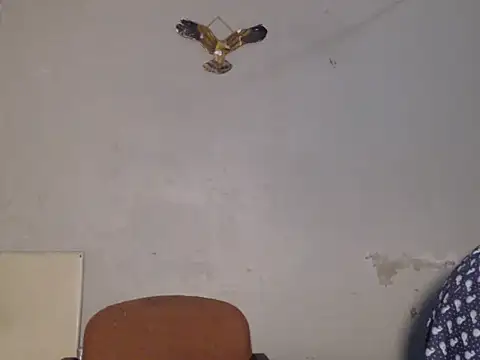 Frank X Husle online show from 07.13.26