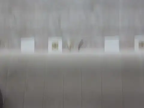 hey darling  online show from 06.12.26