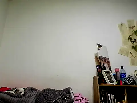 livi Moon online show from 06.08.26