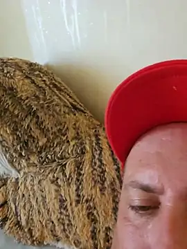 heterohotguy78 online show from 07.24.26