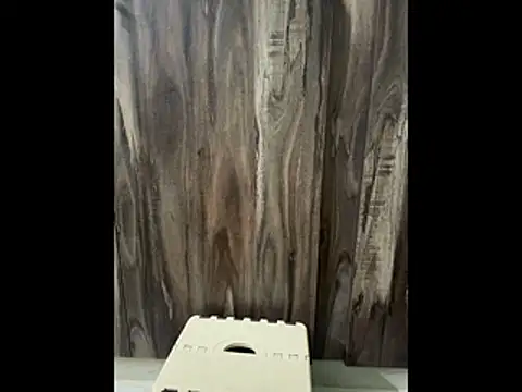 SatBull007 online show from 11.23.25