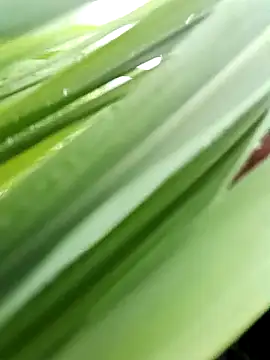 xxnunaxx- online show from 07.24.26