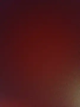fatshawrie online show from 07.31.26