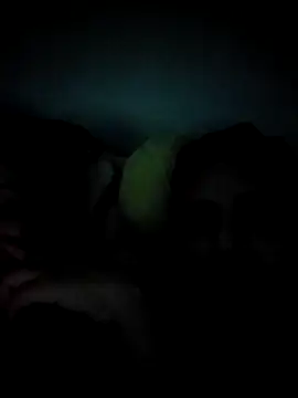 SofiaSergioHot online show from 08.03.26