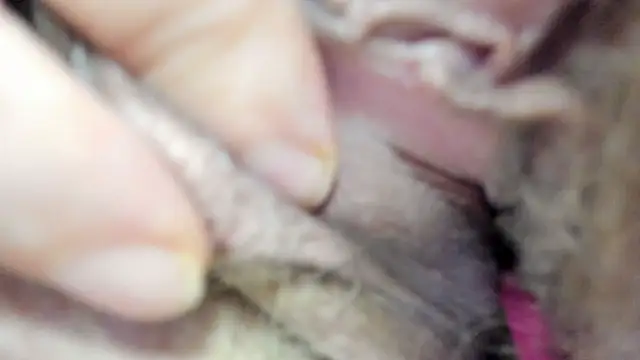 vitabox online show from 09.21.25