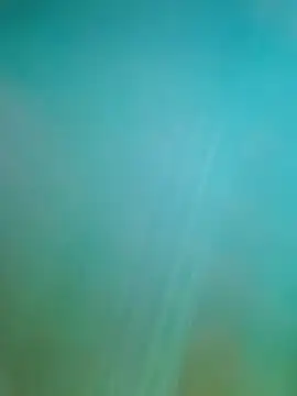 Snapshot of Steveschaw chatting on 02.19.25 Steveschaw online show from 02.19.25