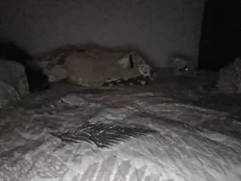 bscc online show from 01.31.25