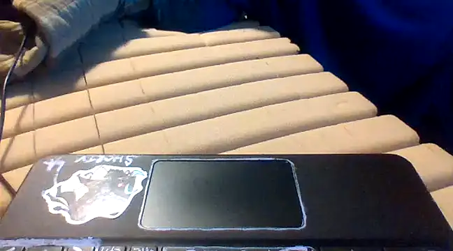 Snapshot of lilpervt chatting on 12.21.24 lilpervt online show from 12.21.24