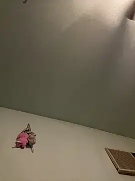 Slumlords online show from 03.11.26