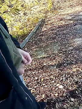 Pokaz2020 online show from 10.27.25