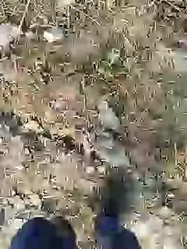 ThethunderPo online show from 12.28.24