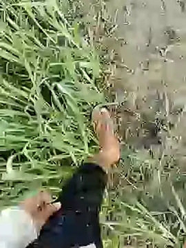 ThethunderPo online show from 02.19.25