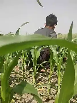 ThethunderPo online show from 03.05.25