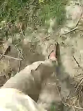 ThethunderPo online show from 02.25.26