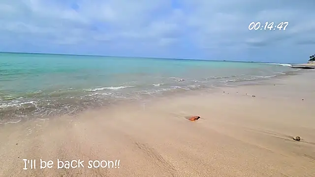 Girl Ksenia online show from 12.29.24