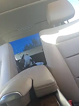 Snapshot of UncutHammer69 chatting on 09.28.25 UncutHammer69 online show from 09.28.25