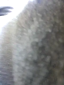 Snapshot of UncutHammer69 chatting on 10.26.25 UncutHammer69 online show from 10.26.25