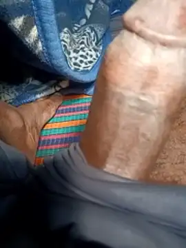 Bengali BULL1 online show from 02.22.26