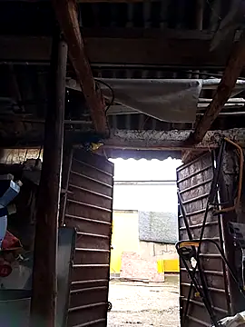 sarpe4 online show from 10.04.25