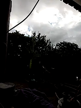 sarpe4 online show from 10.12.25