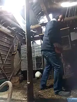 Snapshot of sarpe4 chatting on 02.21.26 sarpe4 online show from 02.21.26