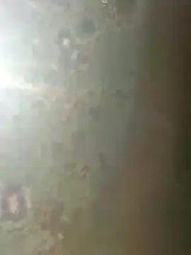 misscectito13 online show from 11.18.25