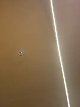 Gatitacarlita online show from 11.26.25