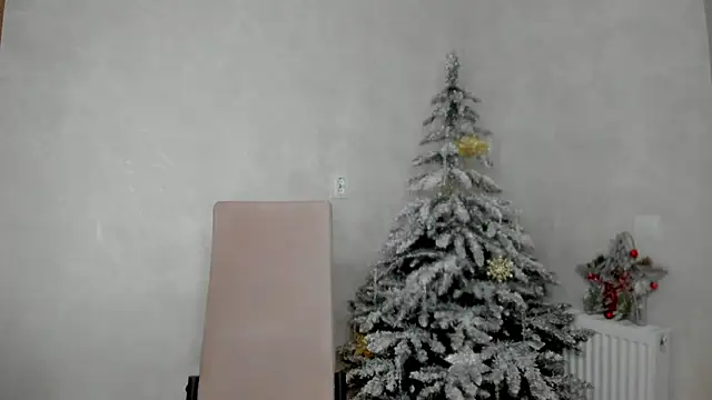 Snapshot of why_again_me chatting on 12.27.24 why again me online show from 12.27.24