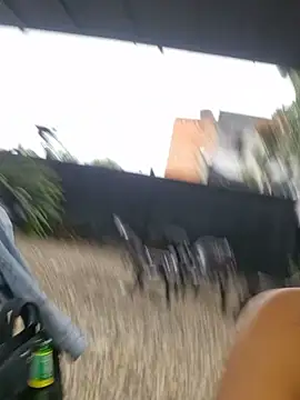 DAELAA online show from 03.08.25