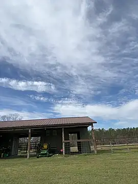 Sitonmyface2020xh online show from 03.03.25