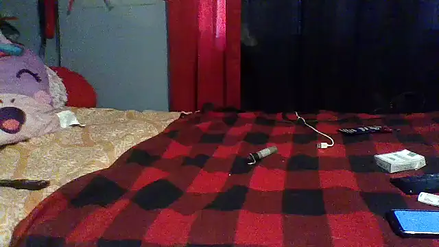 Snapshot of msdeedee chatting on 12.23.24 msdeedee online show from 12.23.24