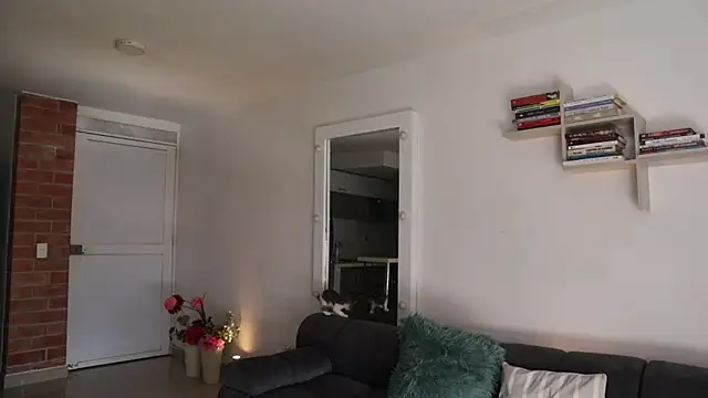  Vahos  online show from 11.28.25