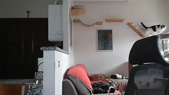 simona60 online show from 02.09.25