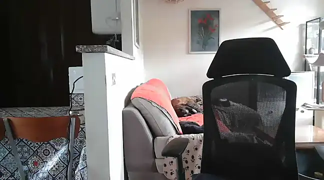 simona60 online show from 02.23.25