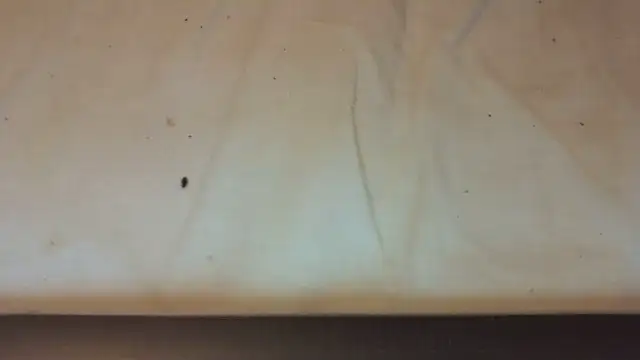 Snapshot of Helly97 chatting on 10.23.25 Helly97 online show from 10.23.25