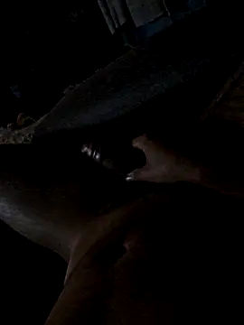 jorgenew online show from 11.20.25