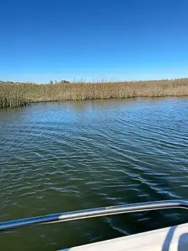 Goonwithoutclinching online show from 01.10.26