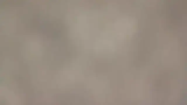 fmodel online show from 09.11.25