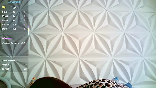 Snapshot of jerryandjessica chatting on 12.22.25 jerryandjessica online show from 12.22.25