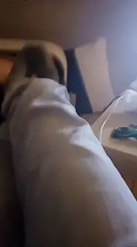 InMeinenMund online show from 01.13.25