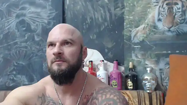 viking 30 online show from 11.17.25